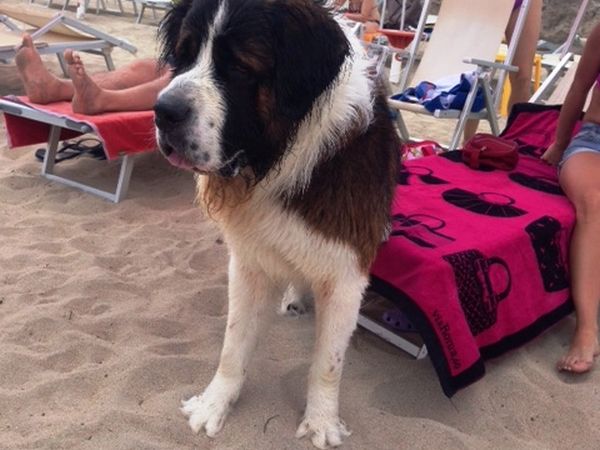 Soleluna Lido Bau Beach  - foto 27782.jpg