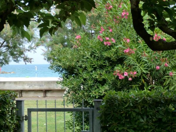 Residence Marche - foto 27794.jpg