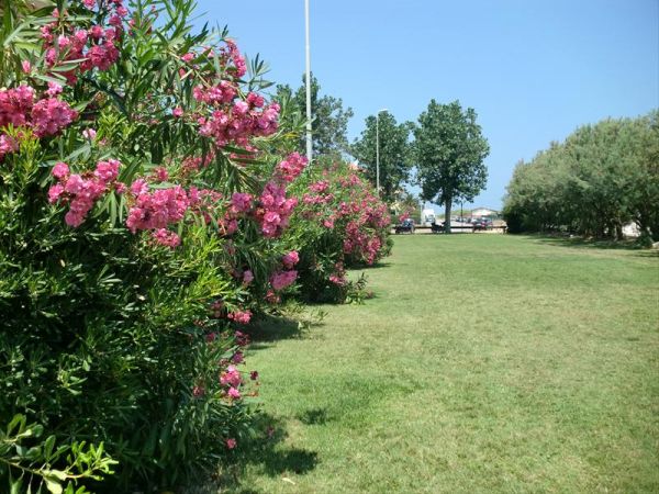 Residence Marche - foto 27796.jpg