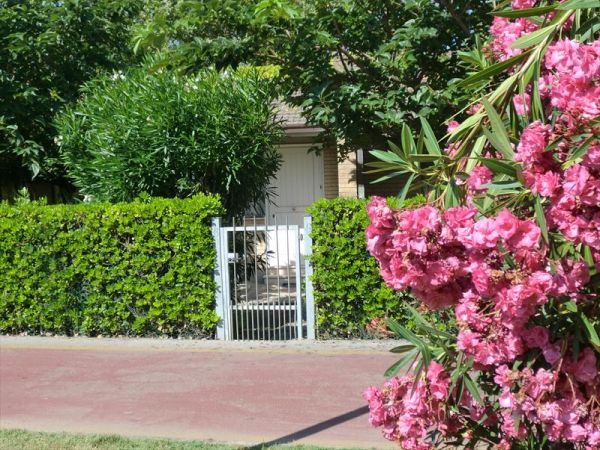 Residence Marche - foto 27797.jpg