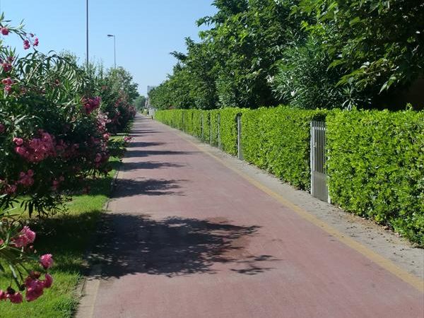 Residence Marche - foto 27798.jpg