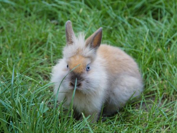 Agriturismo Battibue - foto 27862.jpg