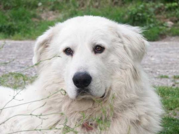 Agriturismo Al-Marnich - foto 410.jpg