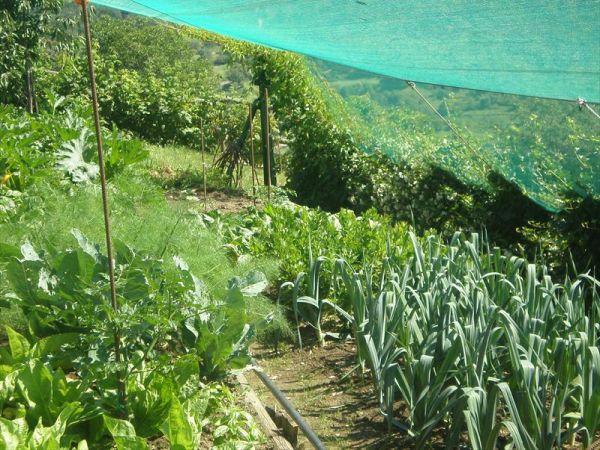 Agriturismo Serec - foto 28241.jpg