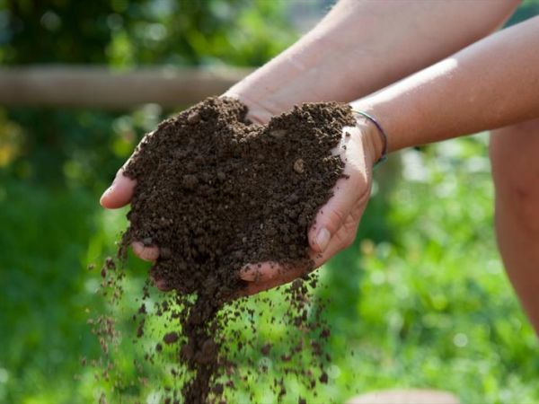 Agriturismo Serec - foto 28253.jpg