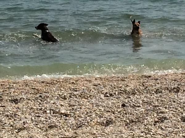 Scooby.Doo - foto 28259.jpg