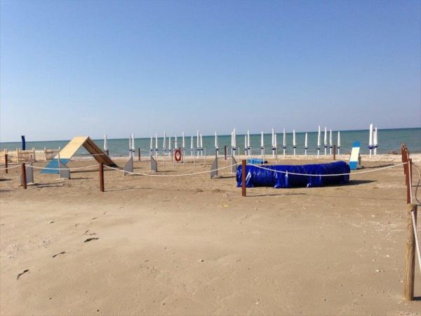 Scooby.Doo - foto 28261.jpg