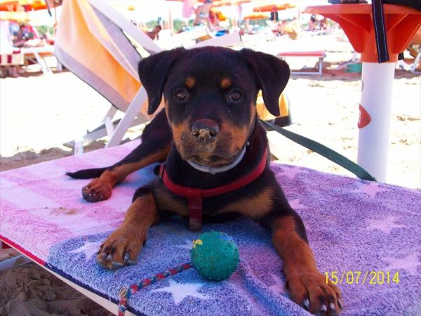 Golf Hotel Bibione - foto 28307.jpg