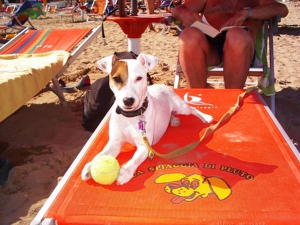 Golf Hotel Bibione - foto 28316.jpg