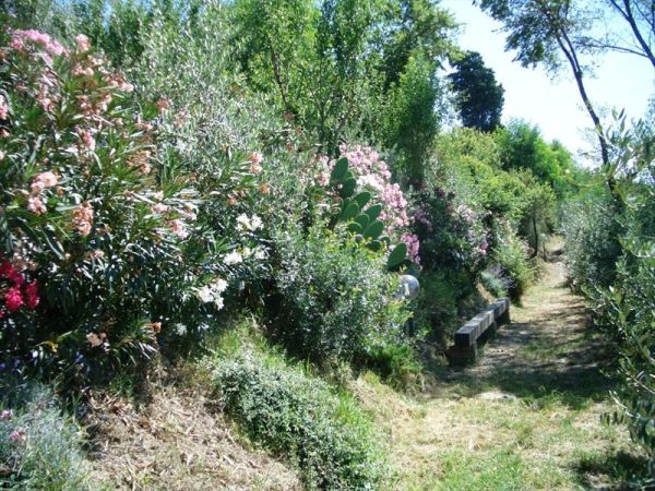 Casa Vacanze gli Oleandri - foto 28502.jpg