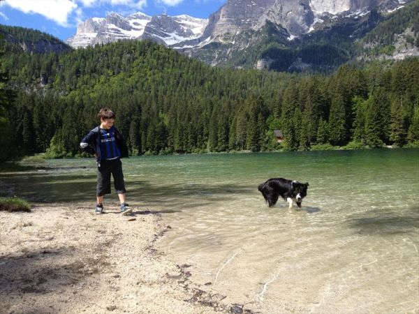 Albergo Cavallino Bianco - foto 28526.jpg