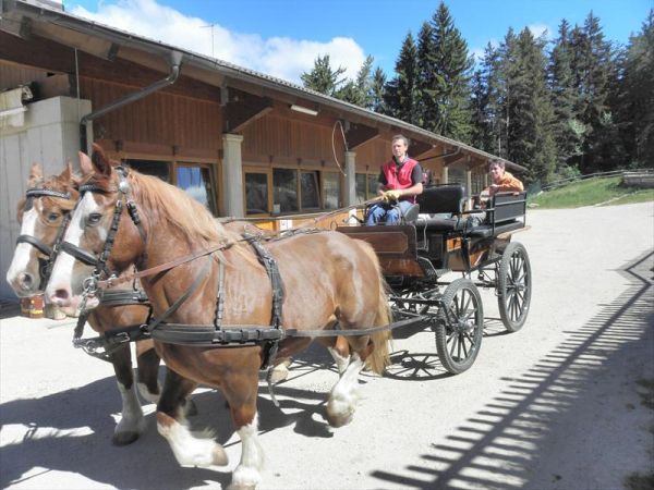 Albergo Cavallino Bianco - foto 28529.jpg