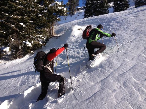 Albergo Cavallino Bianco - foto 28530.jpg