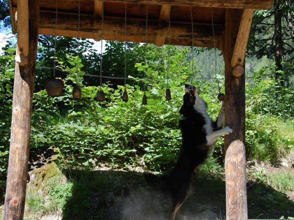 Albergo Cavallino Bianco - foto 28532.jpg