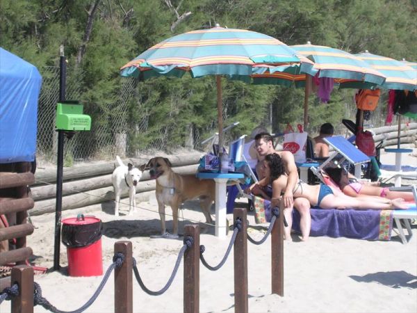 Campeggio Ancora - foto 28698.jpg