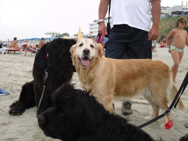 Campeggio Ancora - foto 28699.jpg