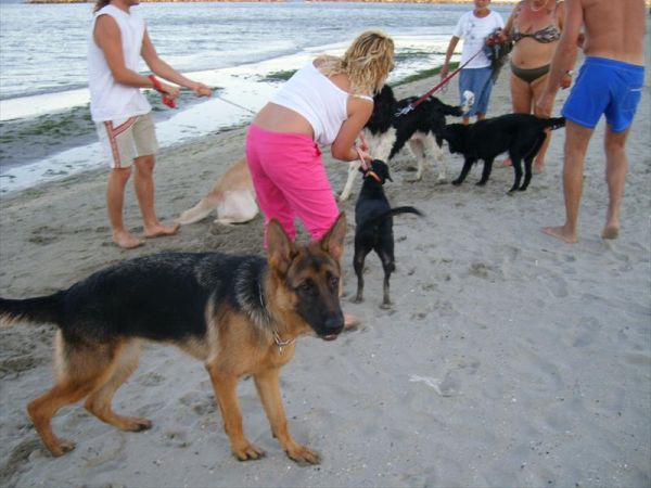 Campeggio Ancora - foto 28705.jpg