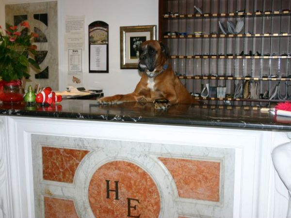 Hotel Eden - foto 28736.jpg