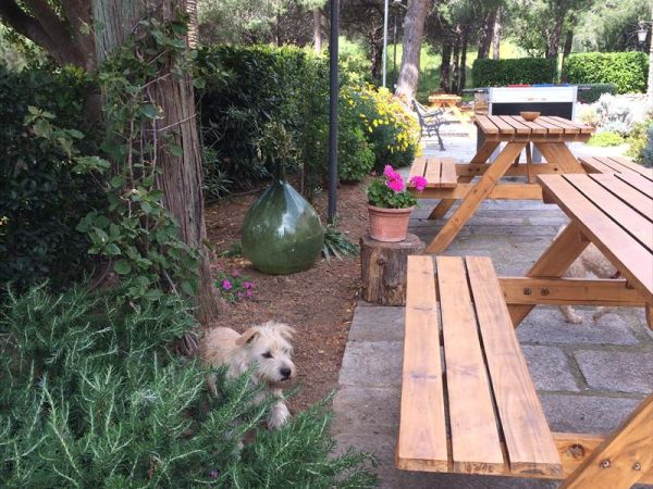 Dolce Vita - foto 28738.jpg