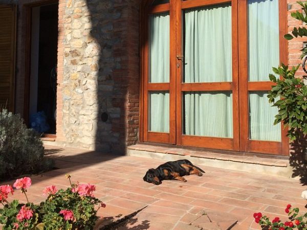 Dolce Vita - foto 28743.jpg