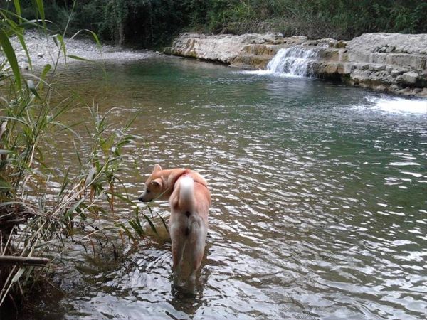 Agriturismo Serraiola Alta - foto 28793.jpg