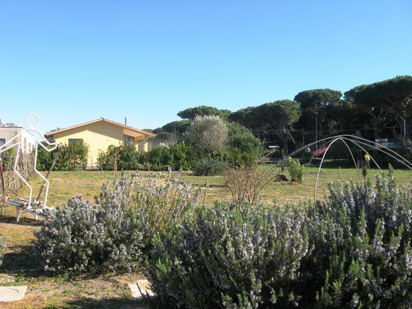 Agriturismo le Pignacce - foto 28809.jpg