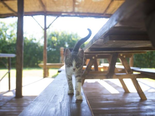 Agriturismo le Vallette - foto 28964.jpg