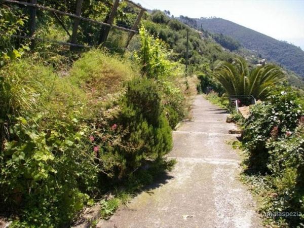 Hotel Pensione Silvia - foto 29022.jpg