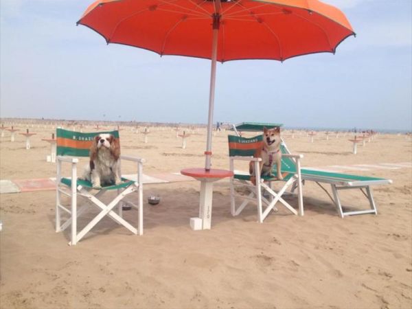 Bagno 84 Graziano Rimini - foto 29025.jpg