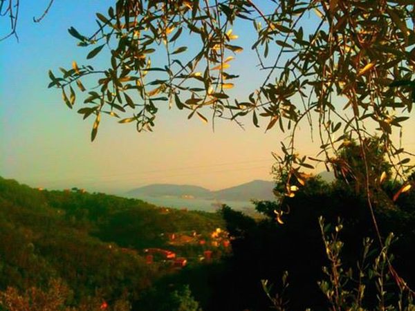 Agriturismo ristorante Oliva Azzurra - foto 29146.jpg