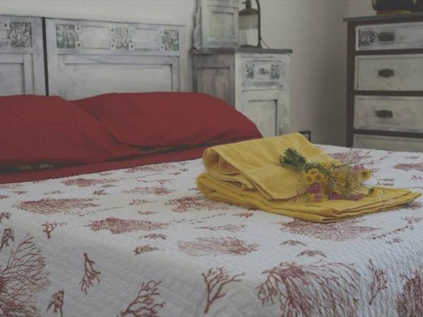 Agriturismo ristorante Oliva Azzurra - foto 29149.jpg