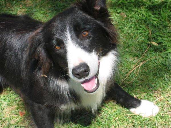 Agriturismo Peretti - foto 29175.jpg