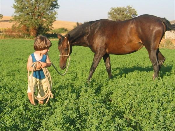 Agriturismo Peretti - foto 29185.jpg