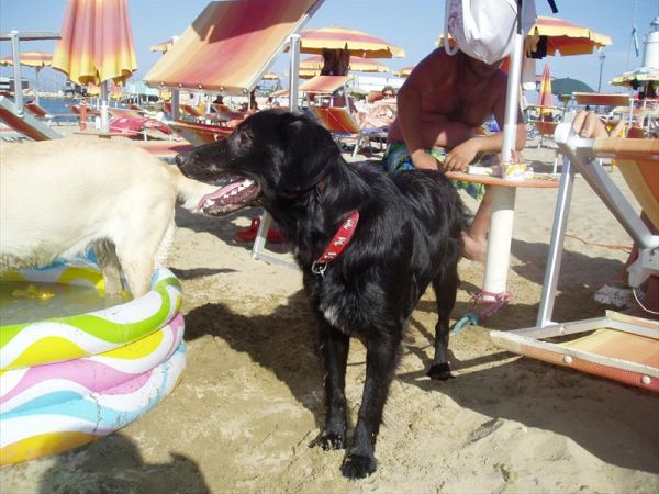 Bagno Wanda - foto 29255.jpg