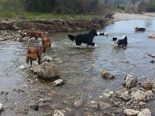 Agriturismo San Ottaviano - foto 29260.jpg