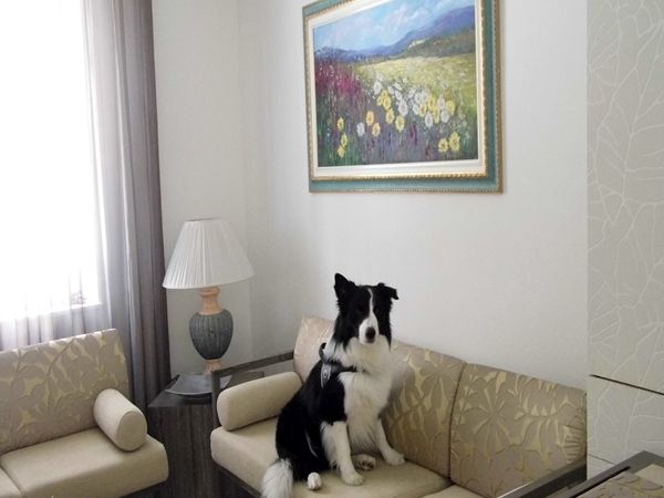 Hotel Brienz - foto 29269.jpg