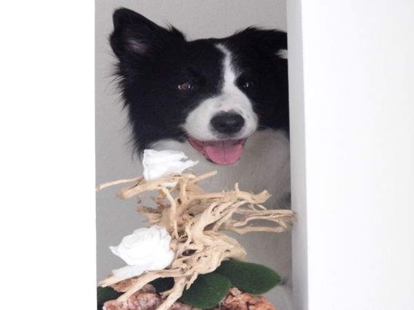 Hotel Brienz - foto 29270.jpg