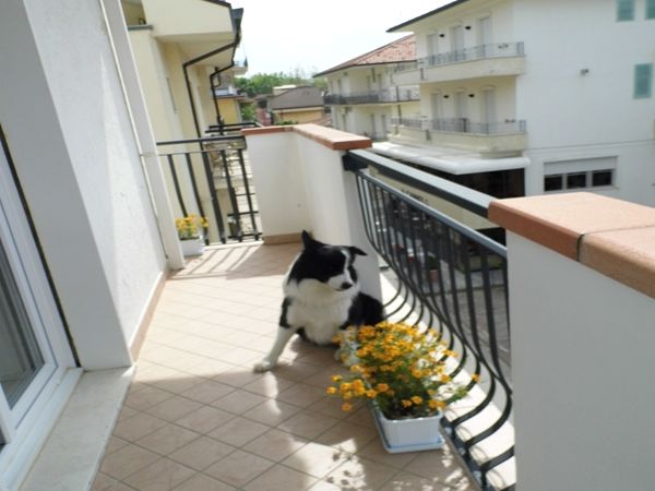 Hotel Brienz - foto 29271.jpg