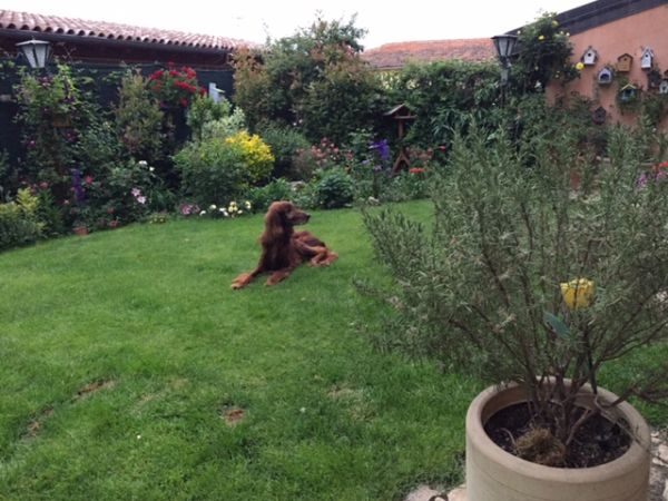 Porta Rivera Hotel - foto 29418.jpg