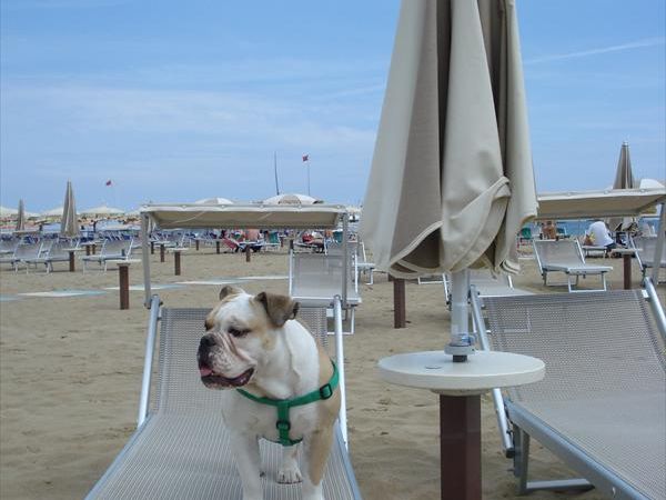 Hotel Diamond - foto 29505.jpg