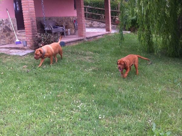 Il Feudo - foto 29587.jpg