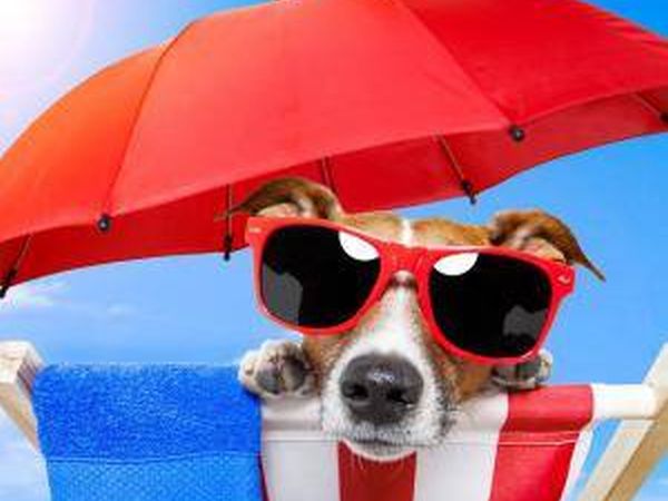 Estella Club - foto 29667.jpg