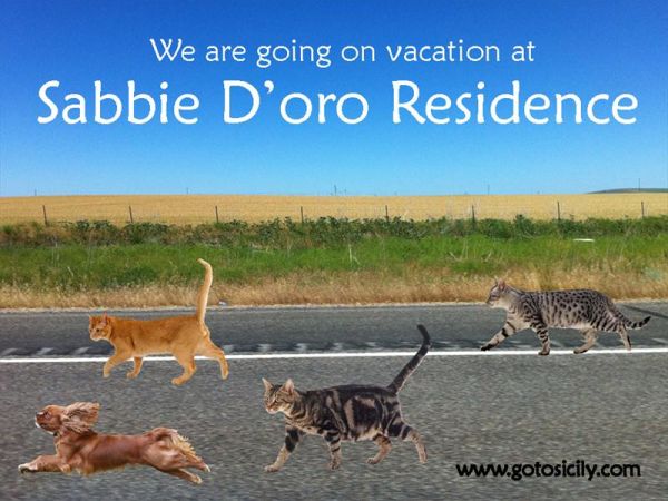 Go to Sicily - foto 29807.jpg