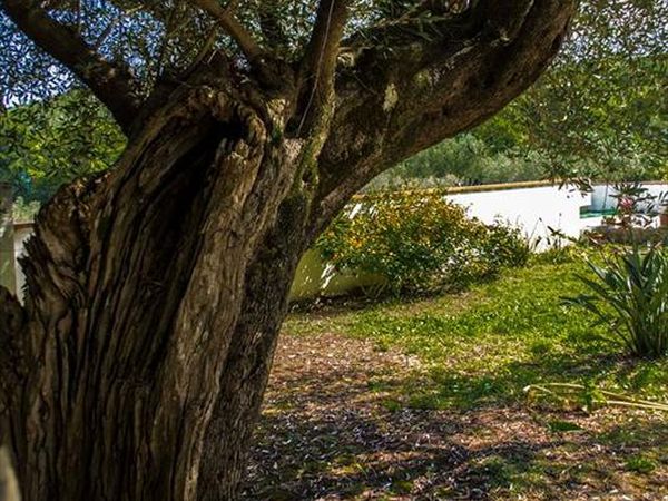 Hotel Bel tempio - foto 29918.jpg