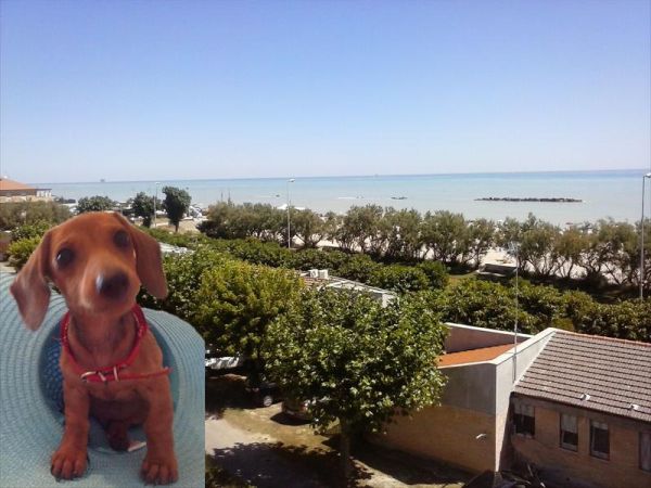 Residence Marche - foto 29936.jpg