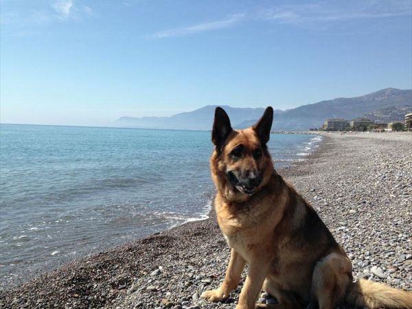 Camping Vallecrosia - foto 29947.jpg