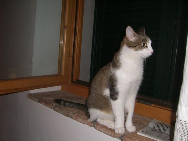 Agriturismo Il Gelso - foto 29985.jpg