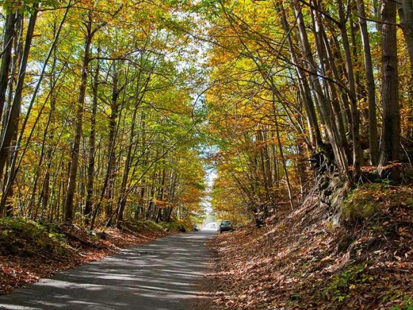 La Casa della Giara - foto 30032.jpg