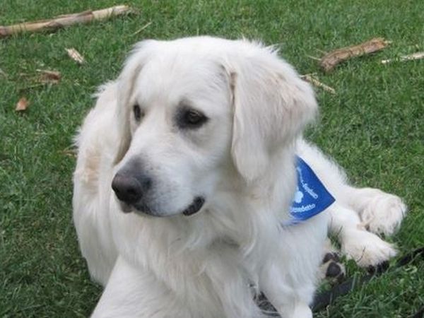 San Benedetto Camping Relais - foto 30083.jpg