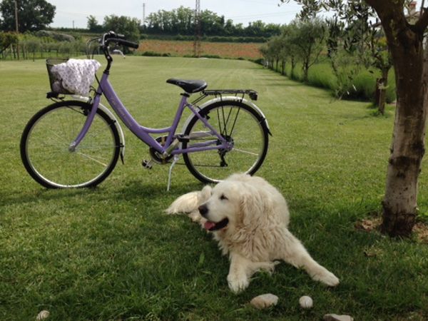 Agriturismo Casa Aurora - foto 30149.jpg